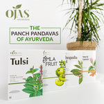 Panch Pandava of Ayurveda