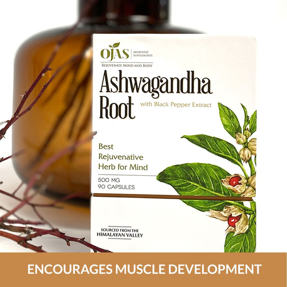 
                  
                    AshwagandhaOjas - Best Rejuvenative Herb for the Mind (500 mg Capsules)
                  
                
